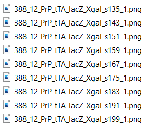 _images/NamingConvention.PNG