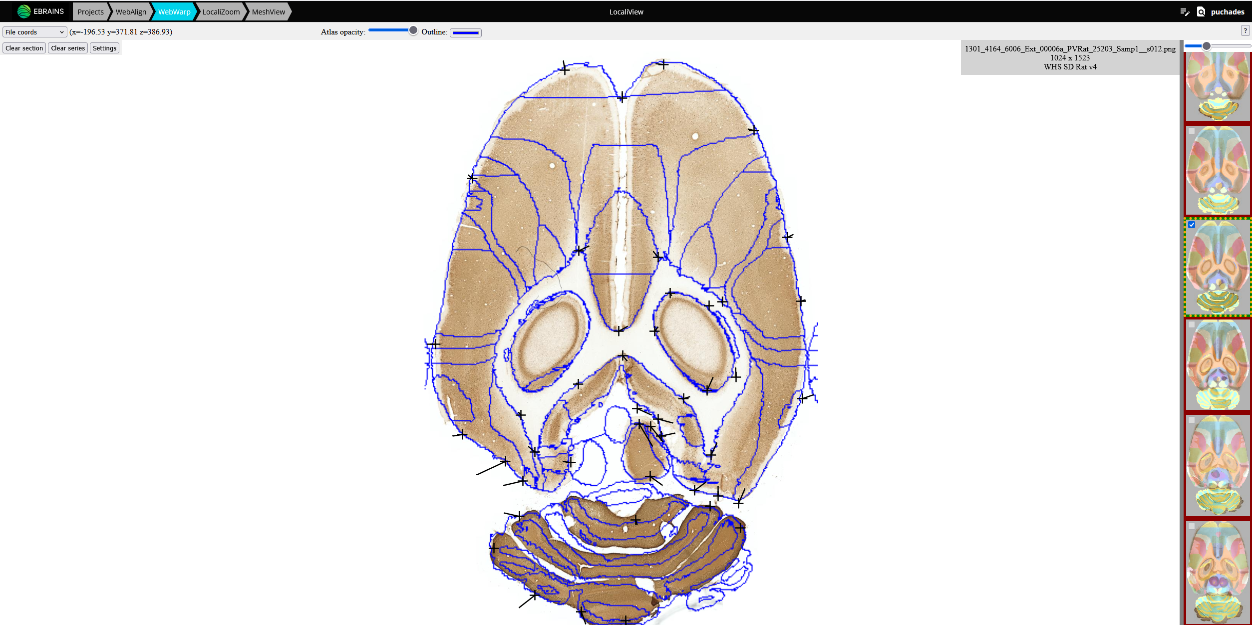 _images/WebWarp_Parv.png